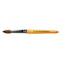 Lina 24 Brush