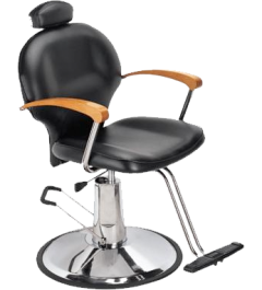 3023 Styling Chair Recliable