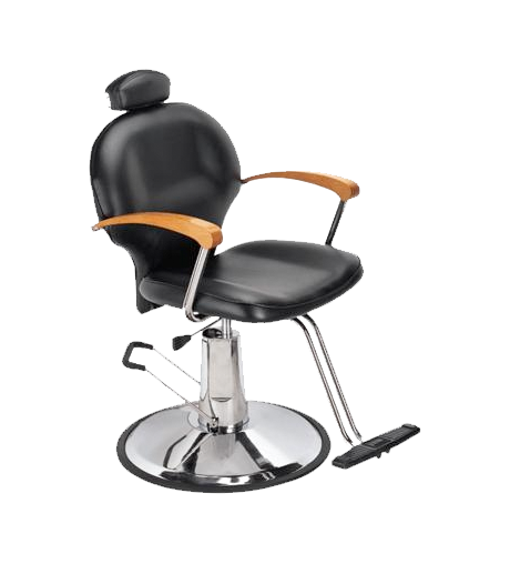 3023 Styling Chair Recliable