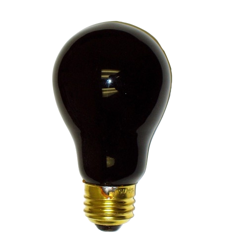 Black Light Bulb 