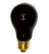 Light Bulb